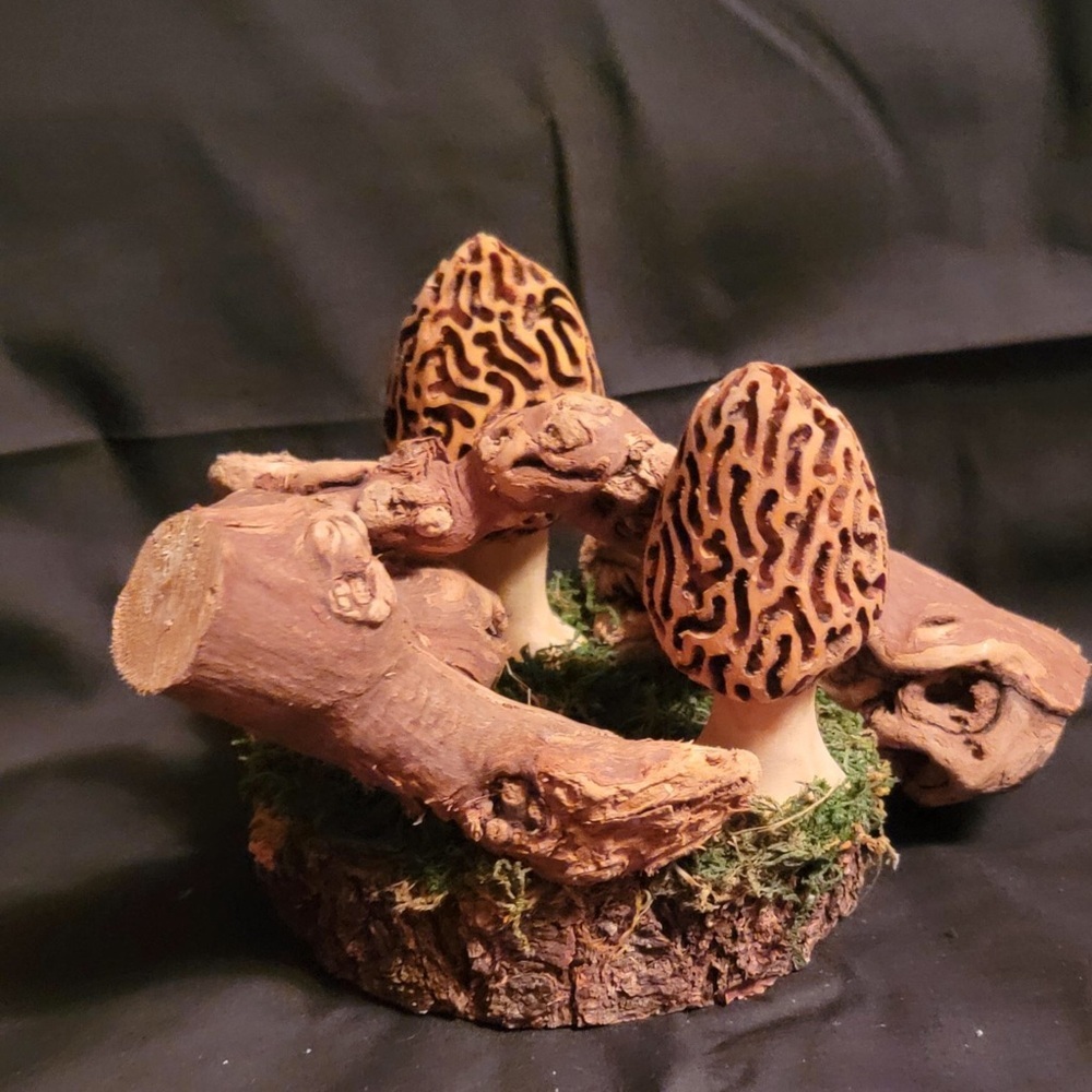 Morel Mushroom Natural Wood Burned By Hand Sculpture Art